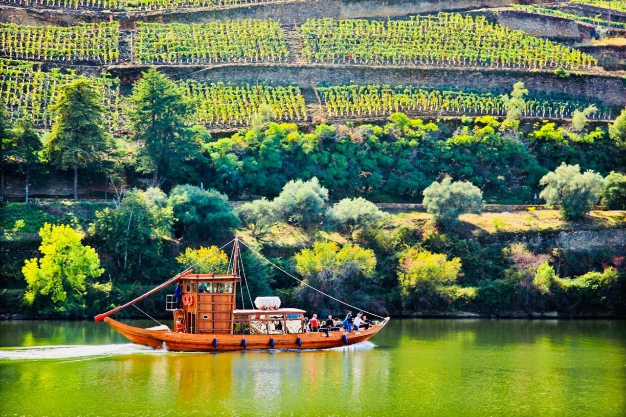 Solar Do Douro Holiday home Santa Cruz do Douro